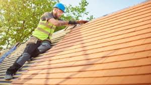 Best Asphalt Shingle Roofing  in Medina, MN