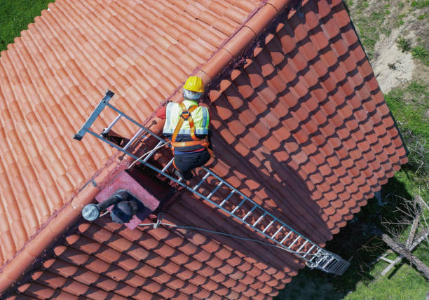 Best Asphalt Shingles Roofing  in Medina, MN